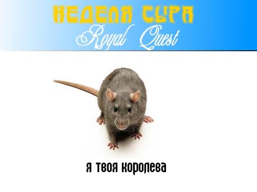 Royal Quest - Королева крыс
