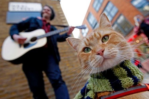 Обо всем - Уличный музыкант и кот по имени Боб
