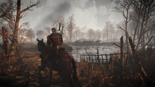 The Witcher 3: Wild Hunt - Немного о зельях в игре и поддержке SteamOS