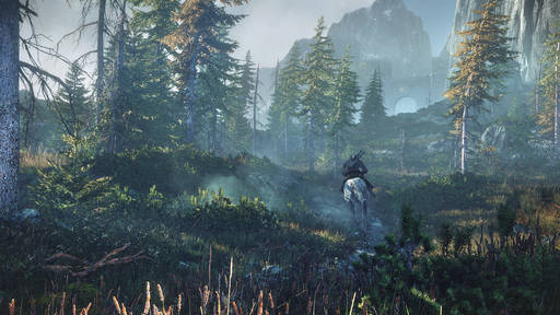 The Witcher 3: Wild Hunt - PS4/Xbox One будут находиться на «низких» настройках графики