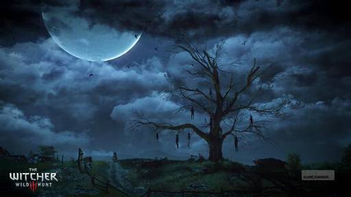 The Witcher 3: Wild Hunt - Итоги Летней Конференции The Witcher 3 - Цири, Йеннифер, GOG и геймплей